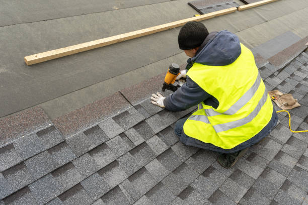 Best Roof Maintenance Services  in Olive Branch, MS