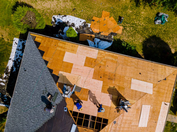 Best Storm Damage Roof Repair  in Olive Branch, MS