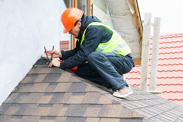 Best Roof Maintenance Services  in Olive Branch, MS