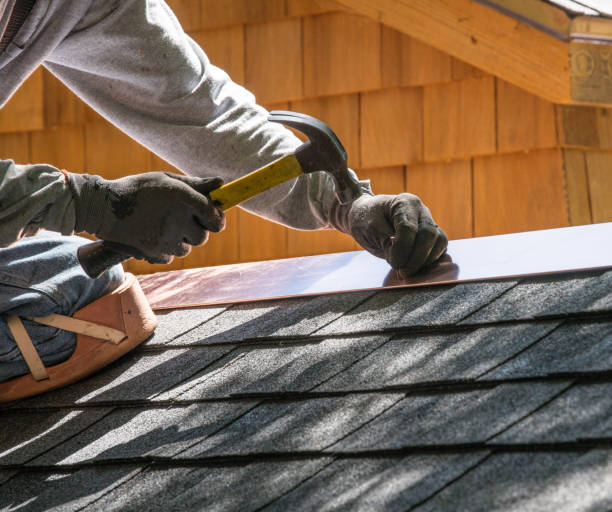 Best Roof Gutter Cleaning  in Olive Branch, MS
